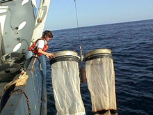 The bongo net (shown here) has been the standard CalCOFI sampler since 1978. Ships retrieve the nets at an oblique angle to collect fish larvae. CalCOFI sampling and equipment specifications must meet and follow rigorous standards